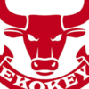 EKOKEY FOREIGN TRADE DOO.