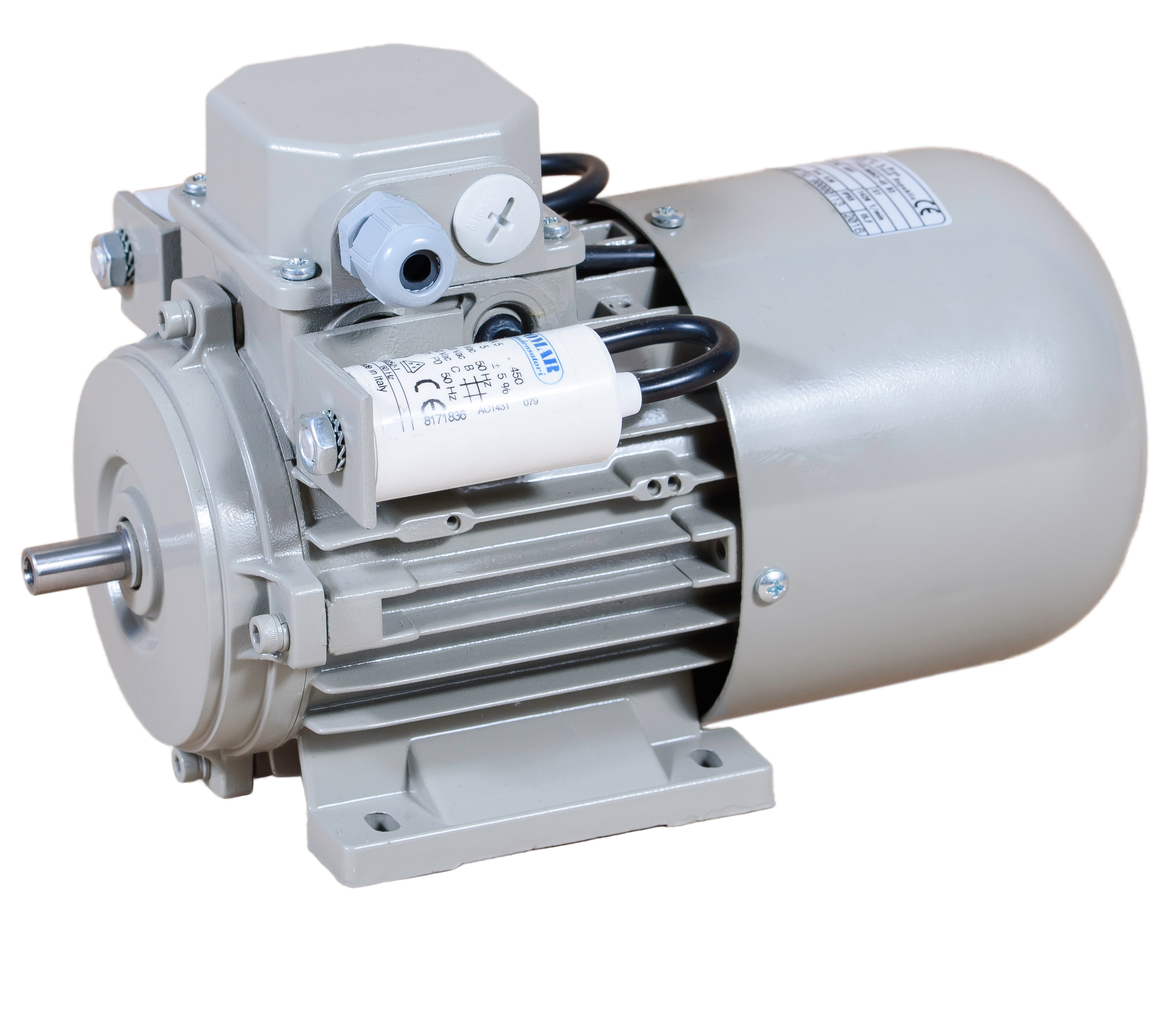 Single-phase Asynchronous Electric Motors