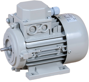 Single-phase Asynchronous Electric Motors