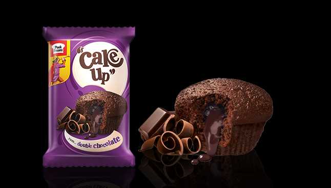 cake with double chocolate