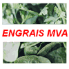 ENGRAIS MVA
