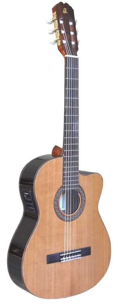 GİTARLAR / ELEKTRİKLİ / VIRTUOSO-EC / VIRTUOSO EC İnce Gövde