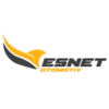 ESNET AUTOMOTIVE