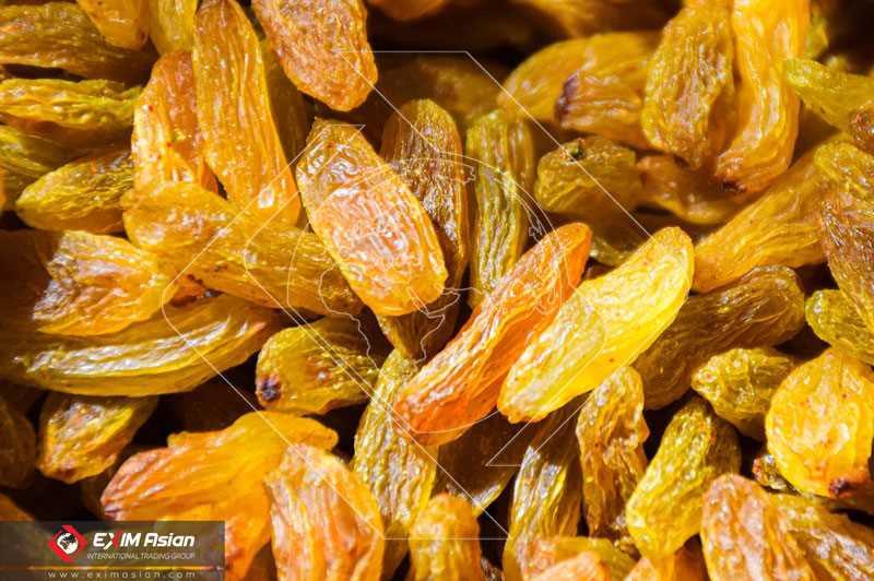 Iranian Green Raisin ( Jumbo Raisin )