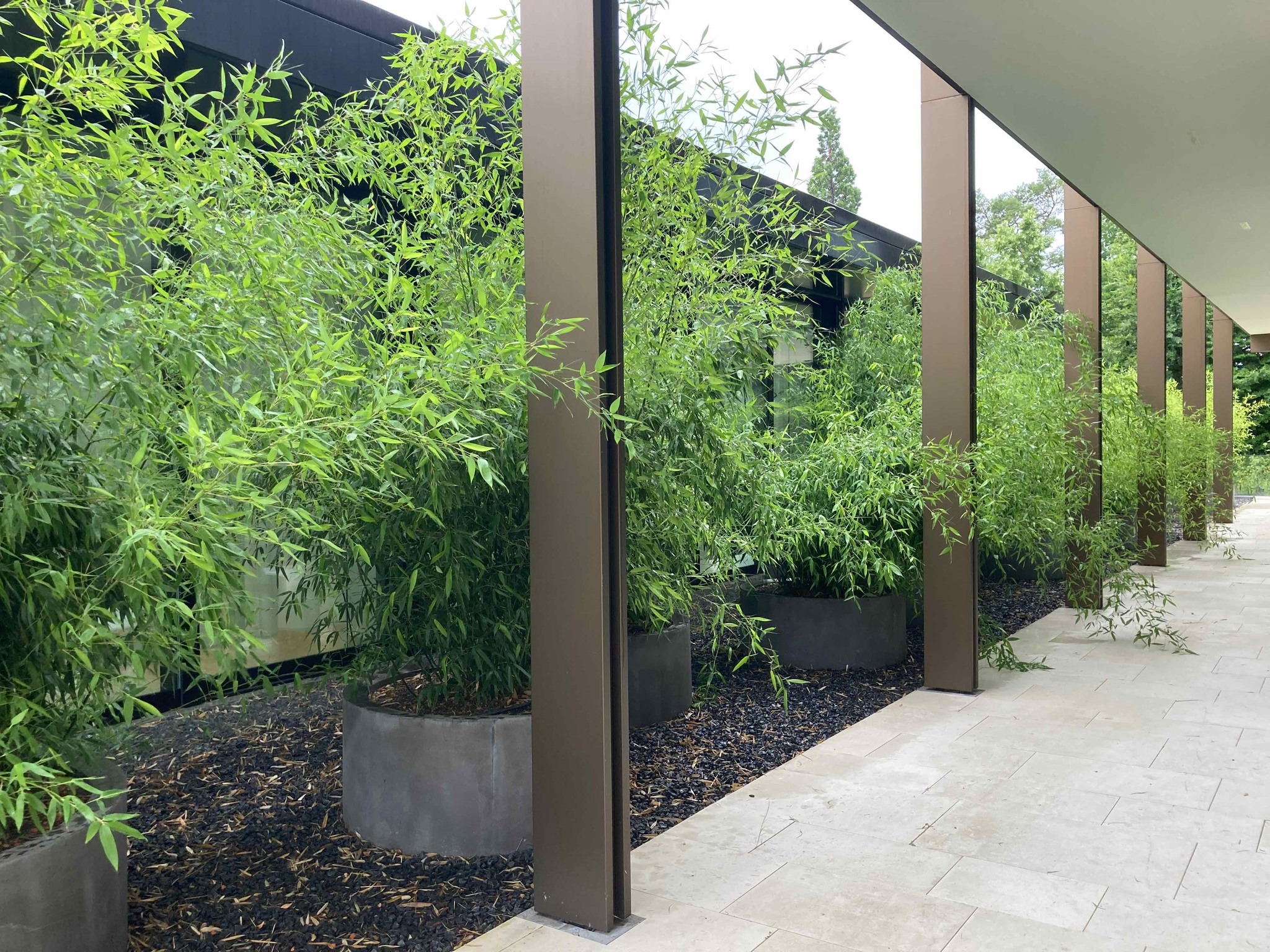Garten- und Landschaftsgestaltung
