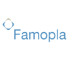 FAMOPLA FABRICA PORTUGUESA MOLDES PARA PLASTICO LDA.