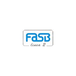 FASB LINEA 2