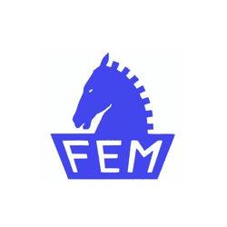 FEM S.R.L.