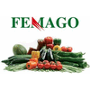 FEMAGO