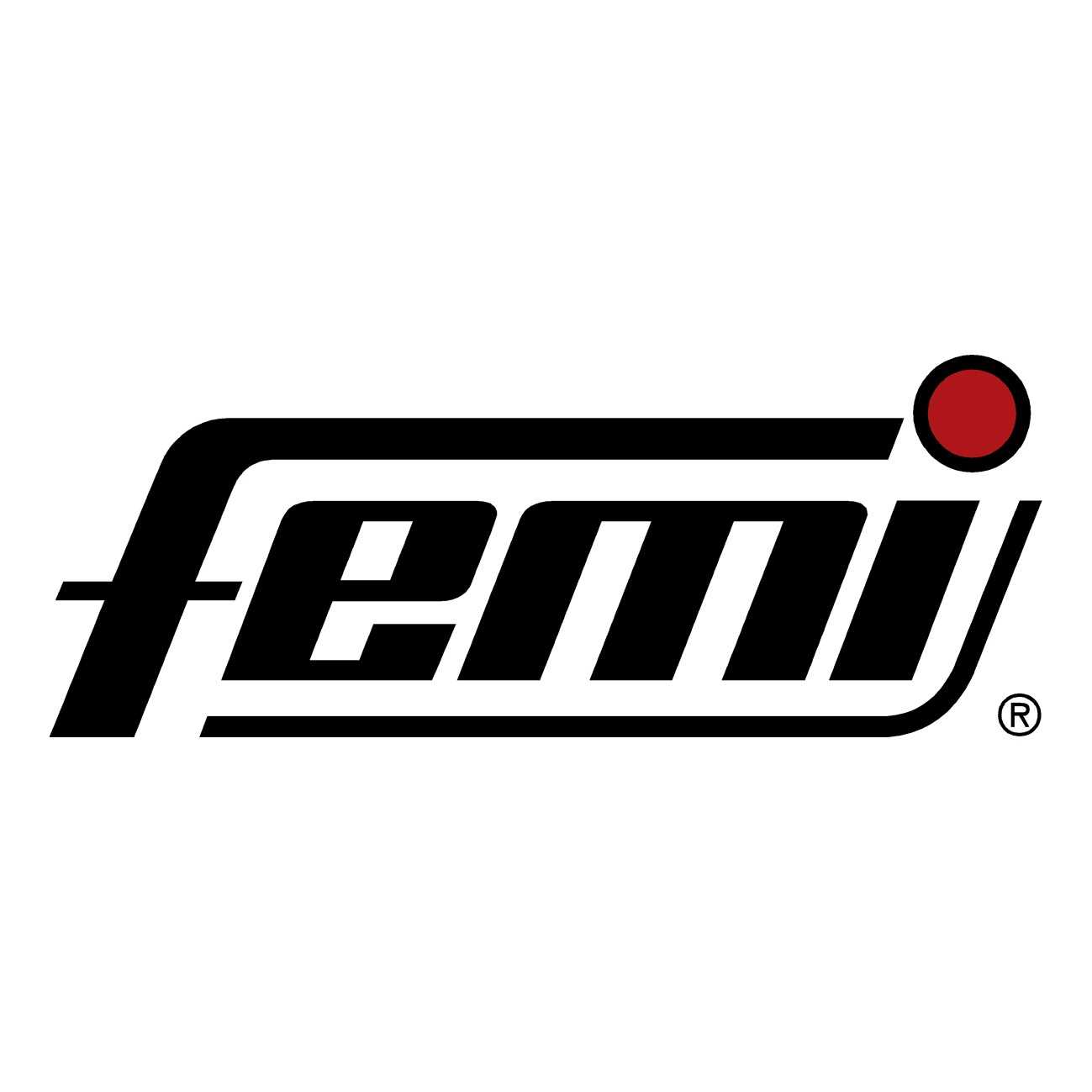 FEMI SPA