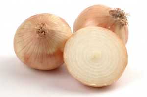 Cebolla de tipo Figueras
