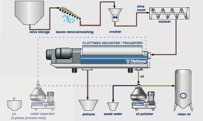 Manufacturing and extracting olive oil