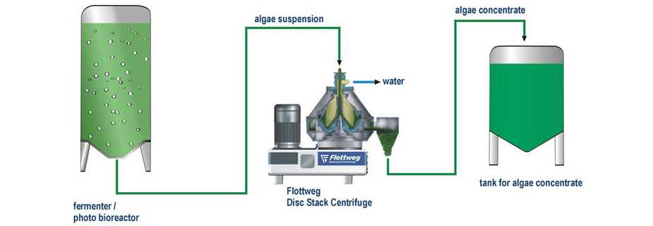 ALGAE HARVESTING