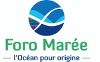 FORO MAREE