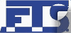 FRANCE TRANSMISSION SERVICE