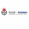 FUCOLI-SOMEPAL-FUNDIÇAO DE FERRO,S.A.