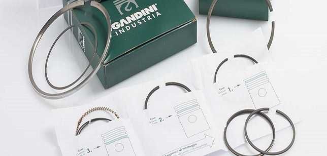 Piston Ring Sets 