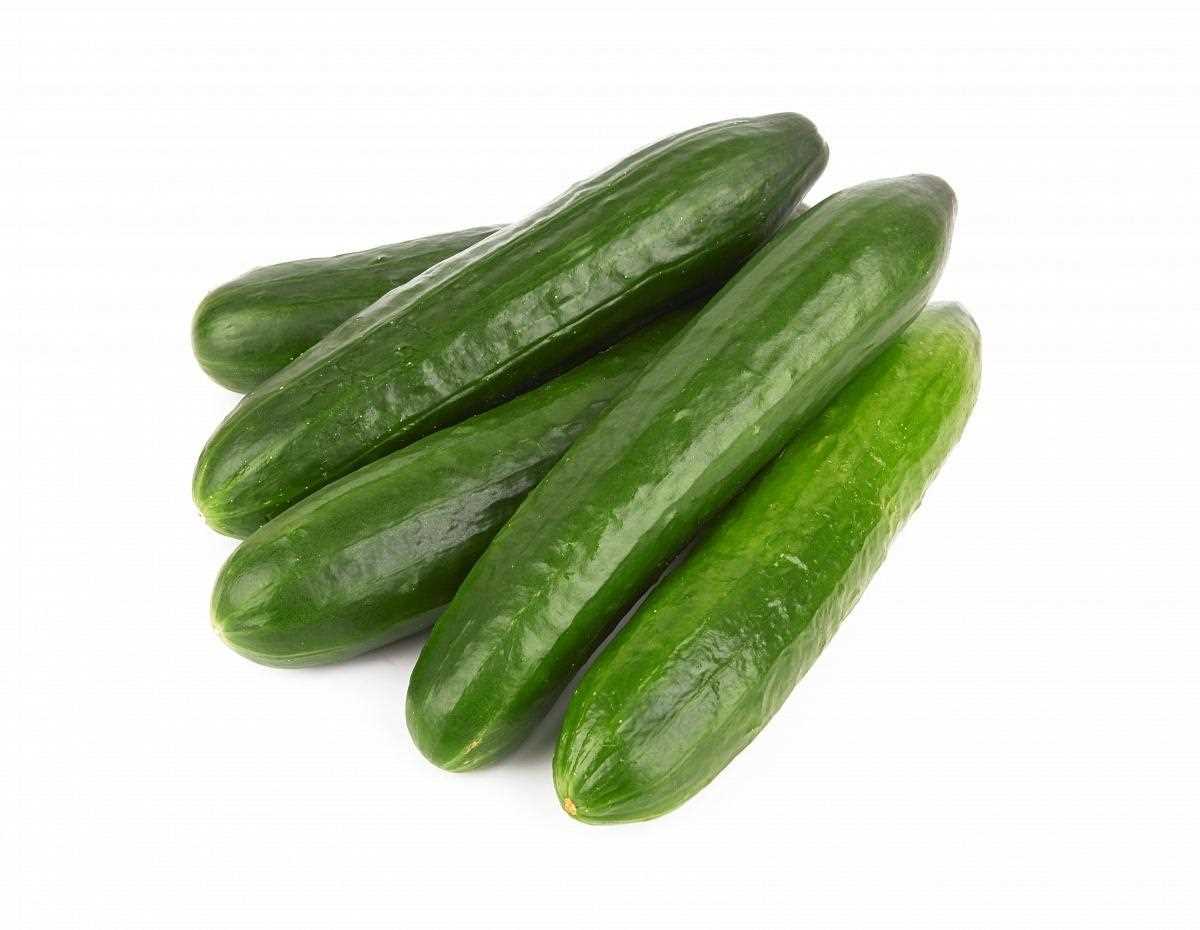 Cucumber