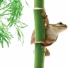 GARDIZOO