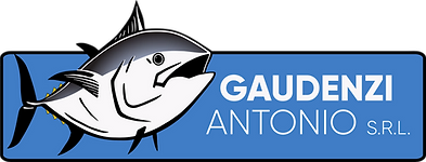 Gaudenzi Antonio Srl. 