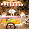 GELATI VAN HOUCKE