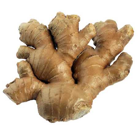 Fresh Ginger (Большой имбирь)