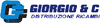 GIORGIO & C. SRL