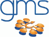 GLOBAL MEDIA SYSTEMS