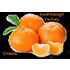 GOOD ENERGY FACTORY J.D.O.O
