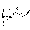 GRAFICA2011
