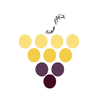 GRAPE EXPORT & IMPORT AGENT