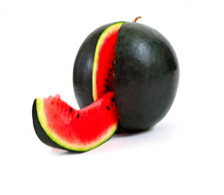 BLACK WITH PEPITAS watermelon