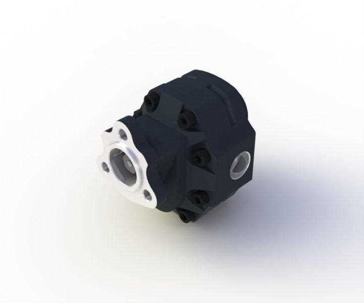  30 SERİSİ POMPA / DP-30-17 SAĞ