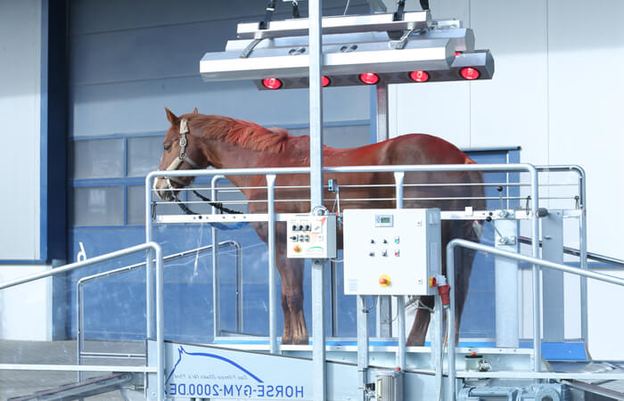 Solarium for horses