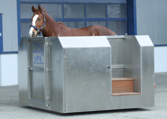 spa for horses