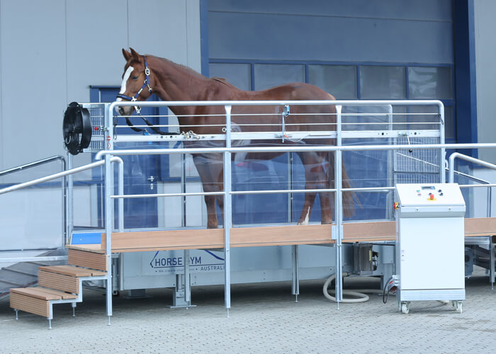 horse treadmill