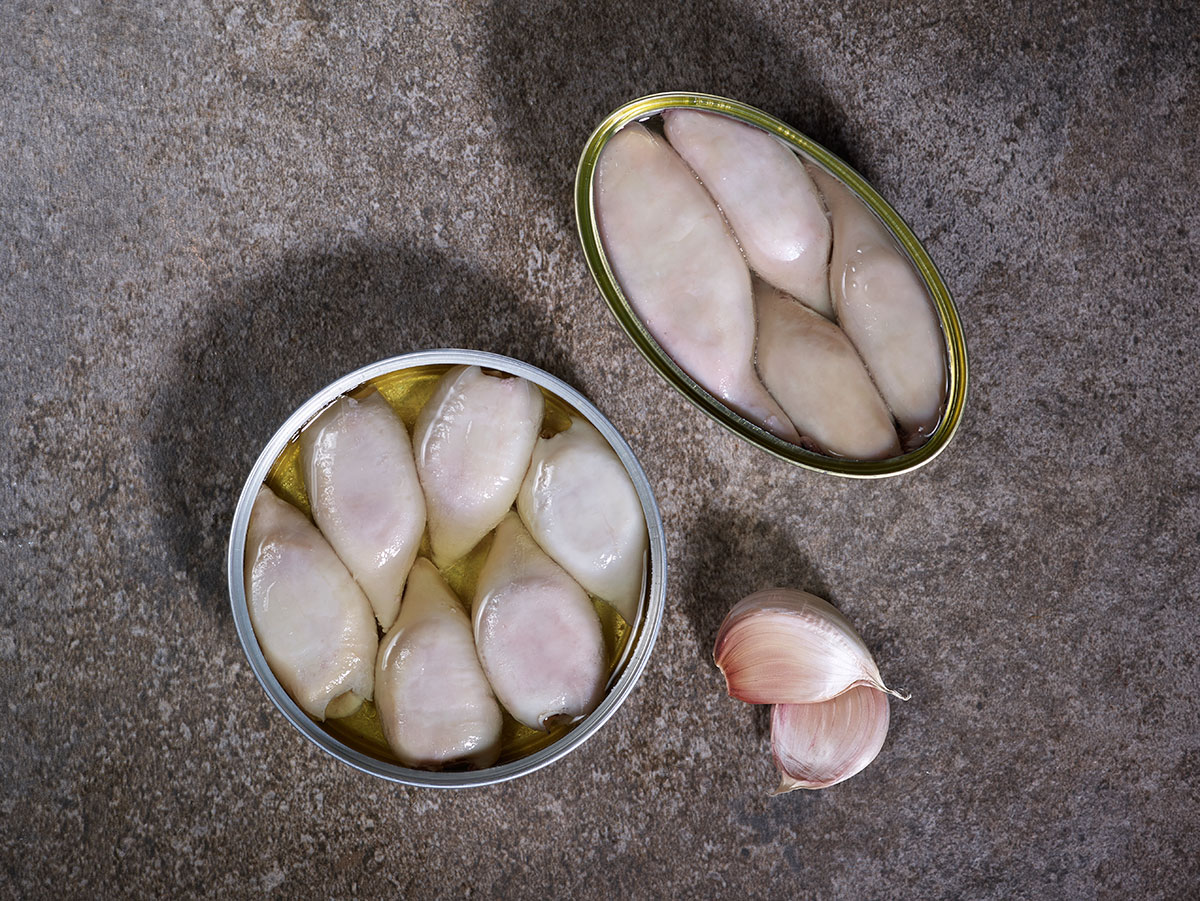 حبار