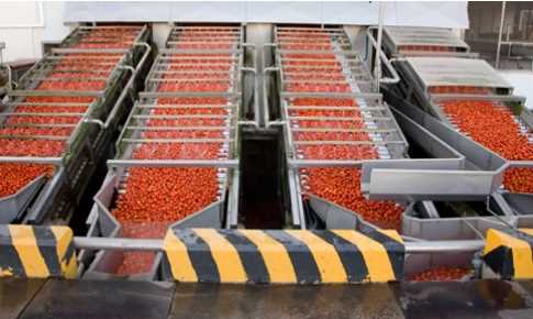 Fruit and vegetable , washing and transportation facility