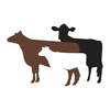 INTERBOVES GMBH