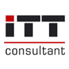 INTERNATIONAL TRANSPORT & TRADE CONSULTANT