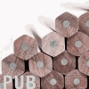 INTERPUB