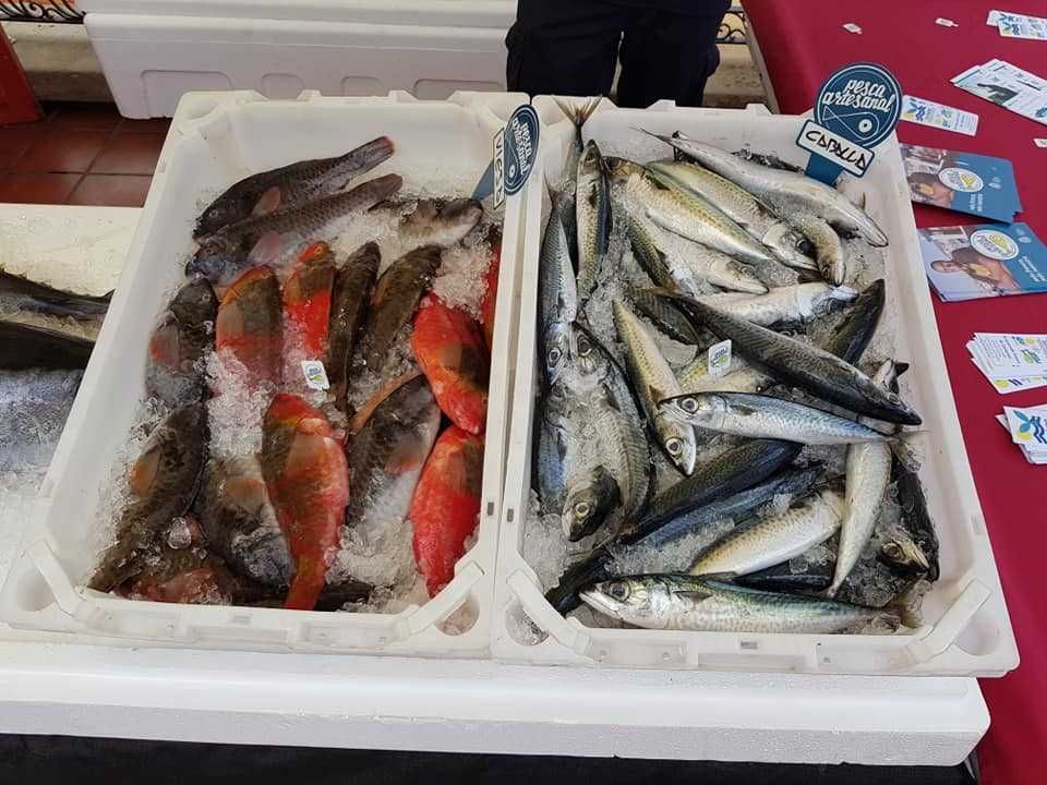 Toptan satış balık