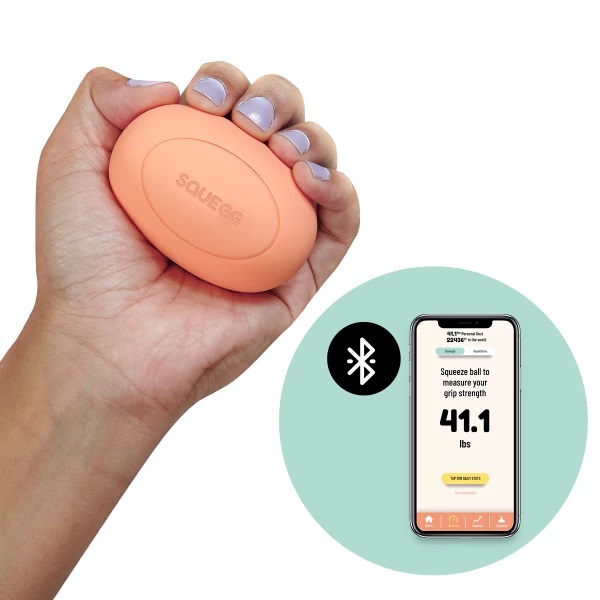 Smart Exercise Ball