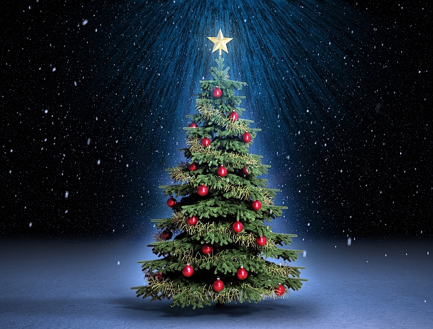 christmas trees