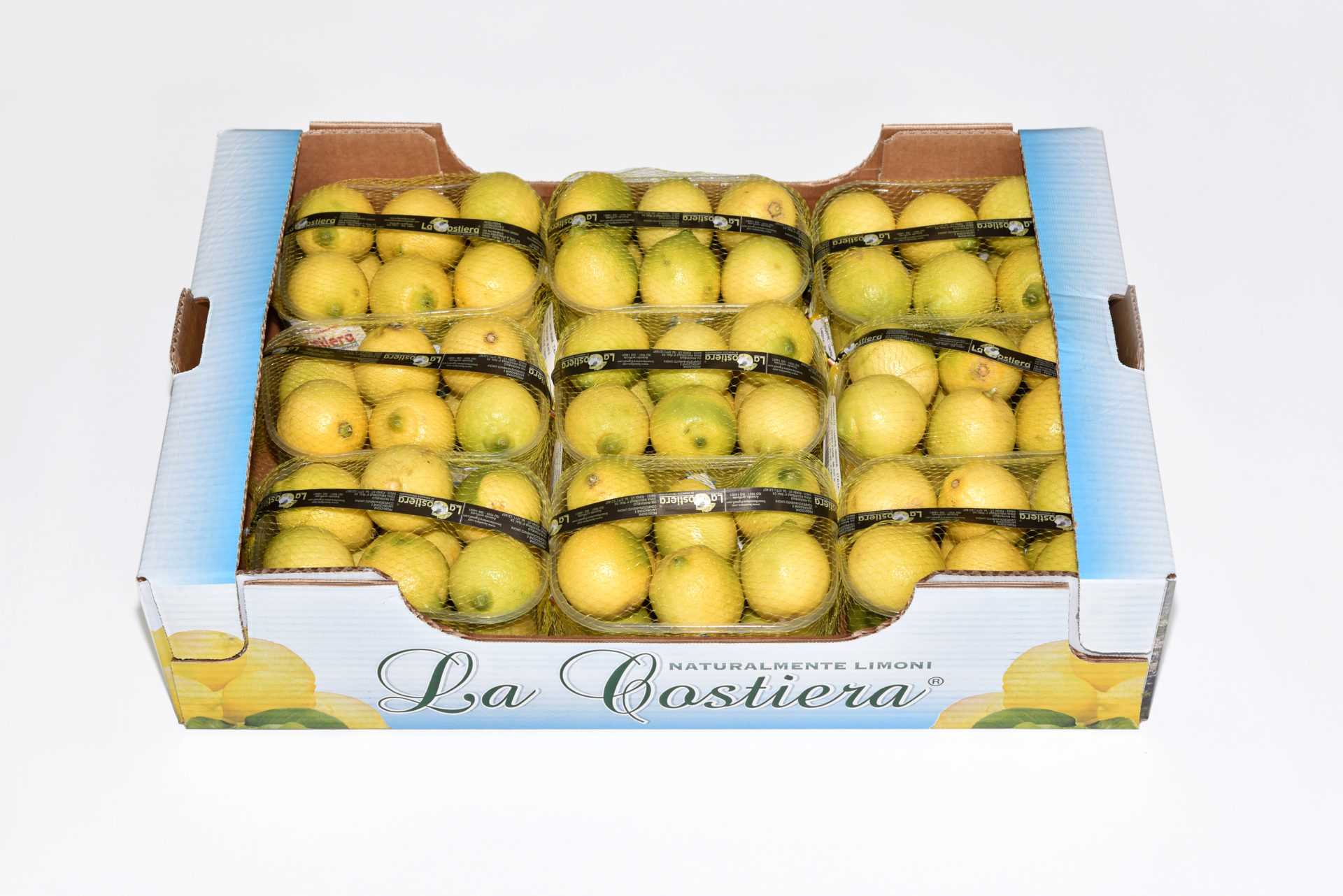 wholesale LEMON