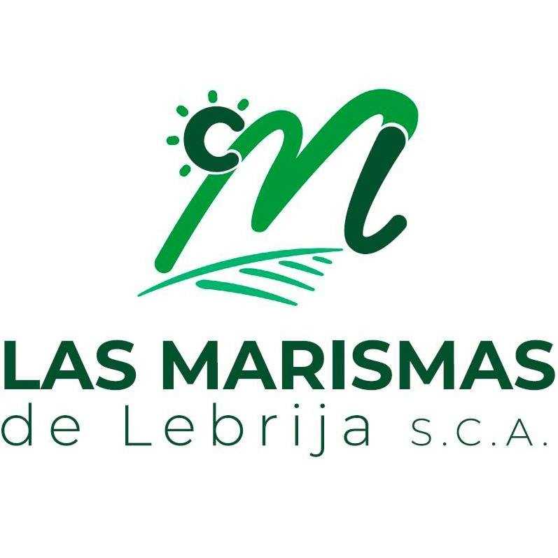 Las Marismas de Lébrıja