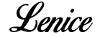 LENICE - COMÉRCIO E INDÚSTRIA DE TÊXTEIS, LDA.