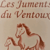 LES JUMENTS DU VENTOUX