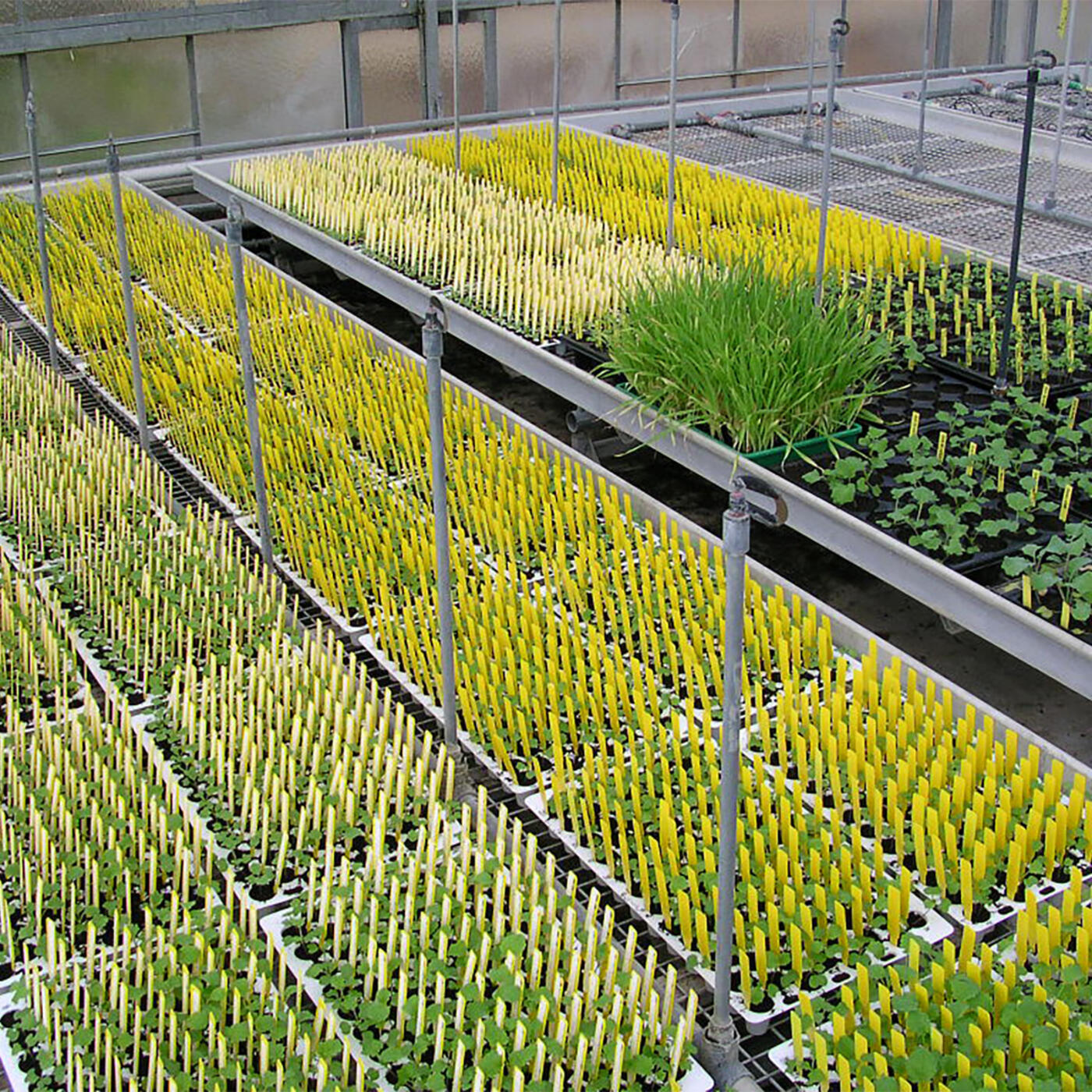 SerreCD-DSCN0953 (1).jpg