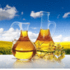 LIBERTYOIL LTD